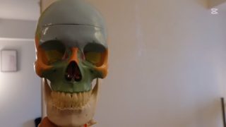 ︎

✴︎ 
　　

2025.10.20

Dynamic cranio 4 博多-Garda-
　

博多のガルダさんにて行われた
奈良岡整体でお馴染み

奈良岡先生の講座 

@naraokaseitai 
 

ダイナミッククラニオを学んでまいりました

・クラニオとは何？
　

「クラニオ（Cranio）」とは、一般的には 「クラニオセイクラル・セラピー（Craniosacral Therapy）」 の略称として使われます。これは、アメリカのオステオパシー（整骨医学）から発展した、頭蓋（クラニウム：cranium）と仙骨（サクロ：sacrum）を中心にした手技療法です

クラニオセイクラル・システム（頭蓋仙骨系） と呼ばれる、以下の部分を対象にしたセラピーです
* 頭蓋骨（クラニウム）
* 脊柱（背骨）
* 仙骨（サクロ）
* これらを包む硬膜（脳脊髄液の流れる膜）
施術者は非常に軽いタッチ（5g程度とも言われます）で頭や背中、骨盤などに触れ、脳脊髄液の流れやリズムを整えて、身体全体の自己治癒力を引き出すことを目的とします
　
　

↑上記のクラシックなアプローチを活かし
　

毎日のお手当に取り入れられる内容を
先生独自にカスタマイズしてくれたものが 

"ダイナミッククラニオ"となります

頭を揉んだりほぐす
その先のもっと深いところ
　　

マッサージでは解決できないことへ
特化したアプローチ方法🧠

精神面や目に見えない症状を緩和できる

 

『ジョーカー🃏のようなカードが
自分の施術にあったら良いよね』と

先生が仰っていてジョーカーや
エースといった切り札のような
特別な技術はとても興味深い

 

今回は記念すべき第1回目

頭蓋骨の構造💀
見立て・検証・評価をやる流れ
　

頭蓋骨の聞き慣れない星座のような
カタカナの部位💀(ラテン語らしい)
　

イニオンやアステリオンを触りながら
慣れることからスタート
　

クラニオは自分の中で敷居が高くて
なかなか踏み込めなかったジャンルでしたが

　　

実技に入るとスッとハマる感覚
　

静かな時間と空間を取り巻く意識
　
　

何となく抽象的にやっていたものの
答えが見つかったような気持ちになりました🪄

奈良岡先生の施術を受けさせてもらった時に
微細な圧からくるエネルギーと
大きな膜に覆われたような不思議な感覚
　

しばらく全身浮いているような
ふわふわした状態がどんなものなのか
お伝えできるようゴッドハンド目指して
　　

残りの講座も集中して挑みます🧠

　

現在 

頭触らせてくれるお客様に
試させてもらっていますm(_ _)m 

心が落ち着き頭の軽さを実感したり
顔のくすみが消えたり効果覿面だと
感想をいただいています🌿

 

会場を提供してくださった
@garuda.taikoshikiriraku さん 

親しみのあるセラピストのみなさま
来年もよろしくお願いいたします
 
@izumi_kt 
@luam.asian_relaxation 
@tinytiny.2022 
@therapist.momi 
@seitai.yufu 
タグ付けわかる範囲で付けさせていただきました

その前に12月の練習会🎄で
会えるメンバーもいて嬉しい🫂♡

はじめたん(先生のあだ名)
今回のパワーワード集
骨と対話・骨の多動症・わんぱっ骨三昧コース　
　
　
　

______________________________ 
　

タイ古式とバリニーズのお店
【private salon Seva】

▶︎西鉄天神大牟田線 / 薬院駅 徒歩5分
　福岡市地下鉄七隈線 / 渡辺通駅 徒歩7分
▶︎営業時間12:00〜22:00(時間外要相談)
▶︎定休日　(不定休)
▶︎完全予約制/男性初回オイル不可

〒810-0021　
福岡県福岡市中央区今泉1丁目2-30
天神プレイスEast棟603号室

_______________________________ 
　
　

#福岡市#福岡リラクゼーション
#今泉#福岡タイ古式
#タイマッサージ
#福岡市サロン
#プライベートサロン
#ゆらぎ#relaxationtime
#thaimassage
#fukuokamassage
#クラニオ
#ダイナミッククラニオ